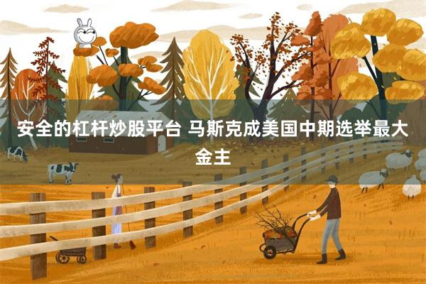 安全的杠杆炒股平台 马斯克成美国中期选举最大金主