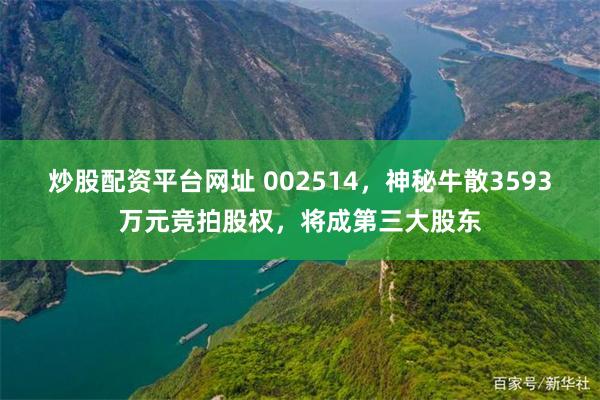 炒股配资平台网址 002514，神秘牛散3593万元竞拍股权，将成第三大股东
